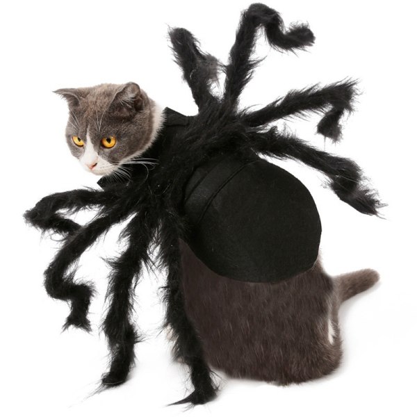Lemmikkien musta hämähäkkiasu Koirakissa Halloween Spider Cosplay -asu L (125cm)