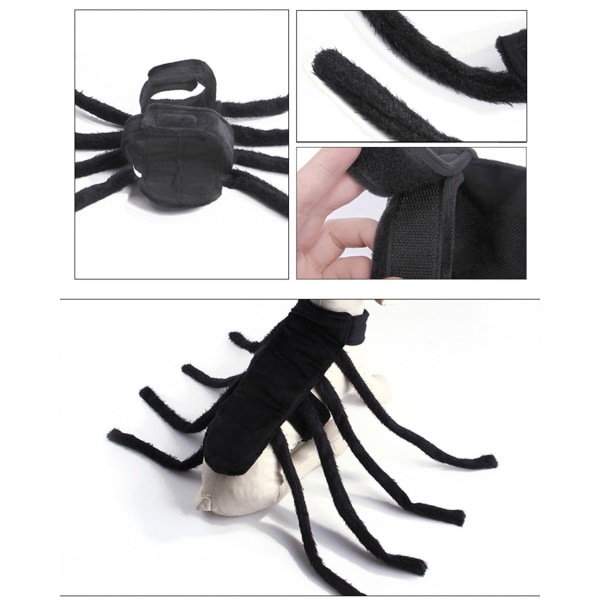 Halloween Mode Kattkläder Spindelkista Husdjur Cosplay svart medium large