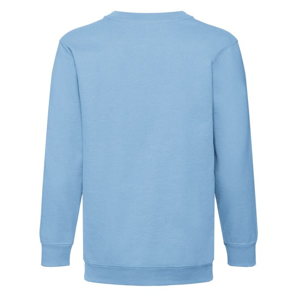 Fruit Of The Loom Kids Unisex Classic 80/20 Set-In Sweatshirt ( Sky Blue 12-13