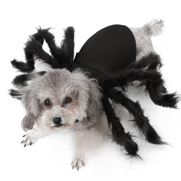 Pet Black Spider Kostume Hund Kat Halloween Spider Cosplay Outfit S (75cm)