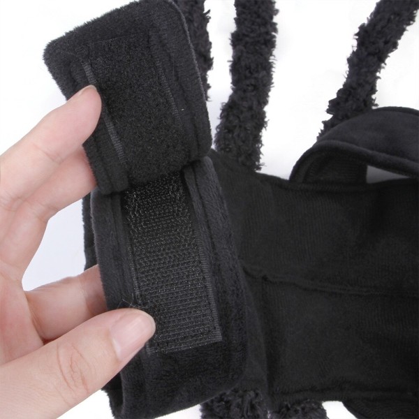 Halloween Mode Kattetøj Edderkop Kiste Kæledyr Cosplay Sort Medium large