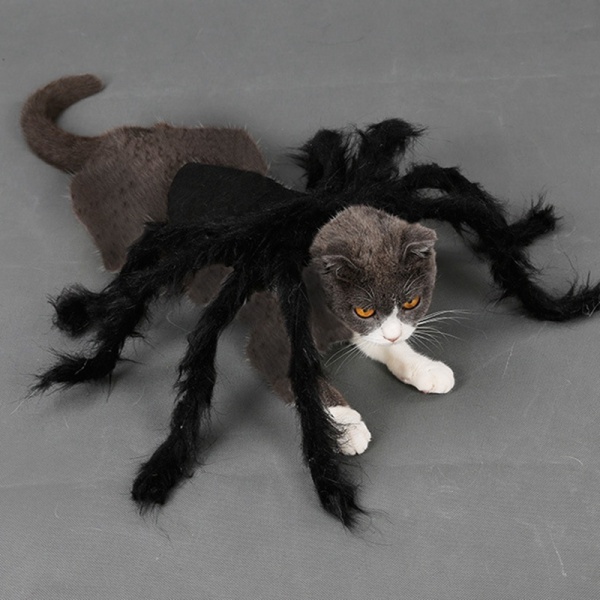 Lemmikkien musta hämähäkkiasu Koirakissa Halloween Spider Cosplay -asu M (90cm)