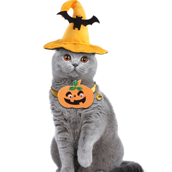 Katt Halloween Husdjurskostymset Set M