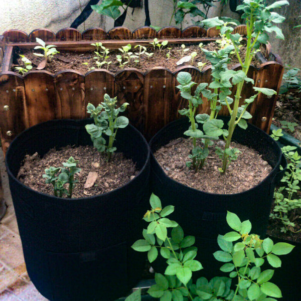 Andningsbar potatisväxtkrukor Planterpåse Rotväxtpåse Black S