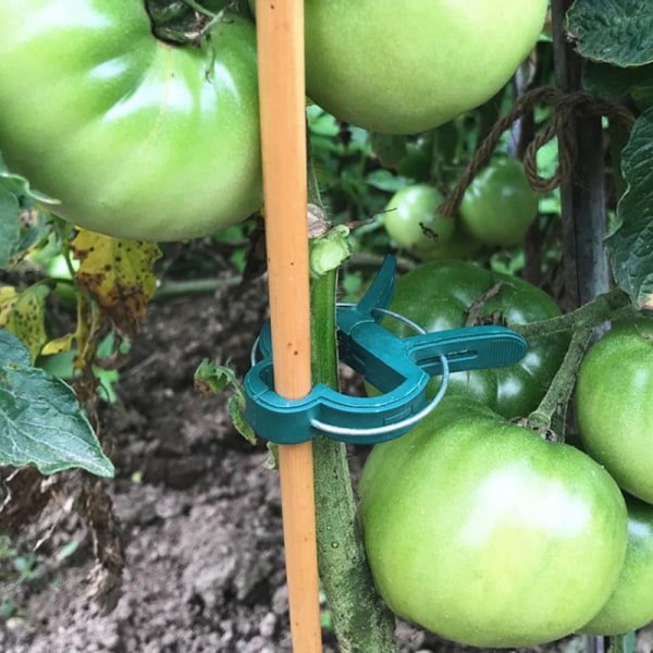 Återanvändbara växtklipp Garden Tomato Support Garden Tool 1 PC S