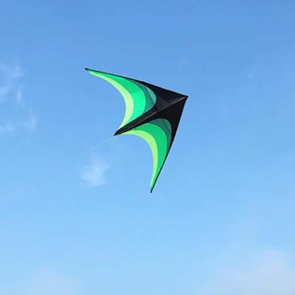 Stor Delta Long Tail Kite 1