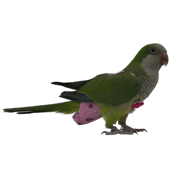 Fågel Papegojor blöja Cockatiel duvor Parakit flygdräkt Pink S