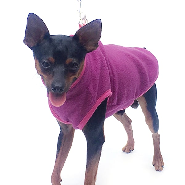 Pet Hund Greyhound Vinterkläder Jumper med hög krage Purple XL