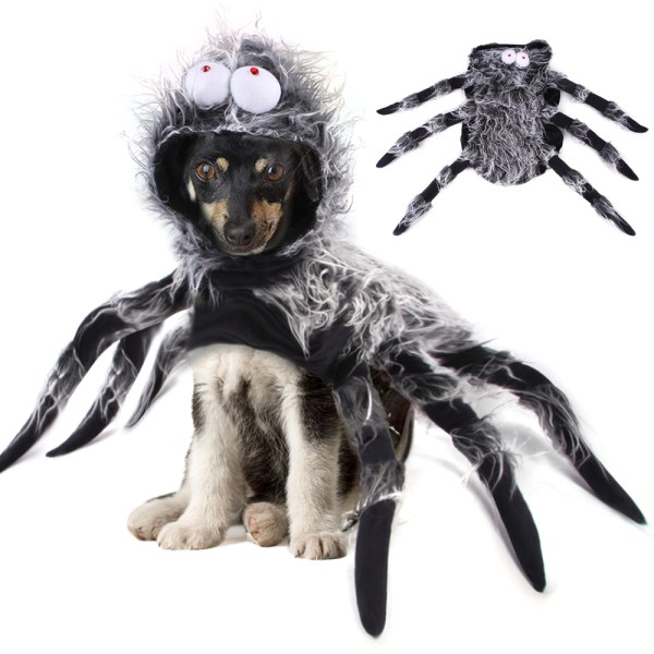 Halloween husdjur svart spindel hund katt kläder fest klä upp XL