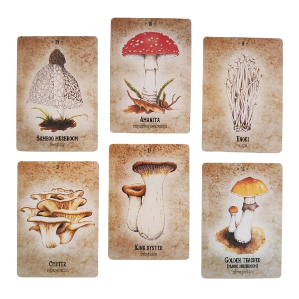 Standard Tarot -pakat | Sieniolento Oraakkeli Ennustustyökalut | Englanninkielinen versio