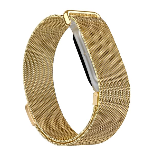 Armbånd i rustfrit stål med magnetlås til Google Fitbit Air Gold