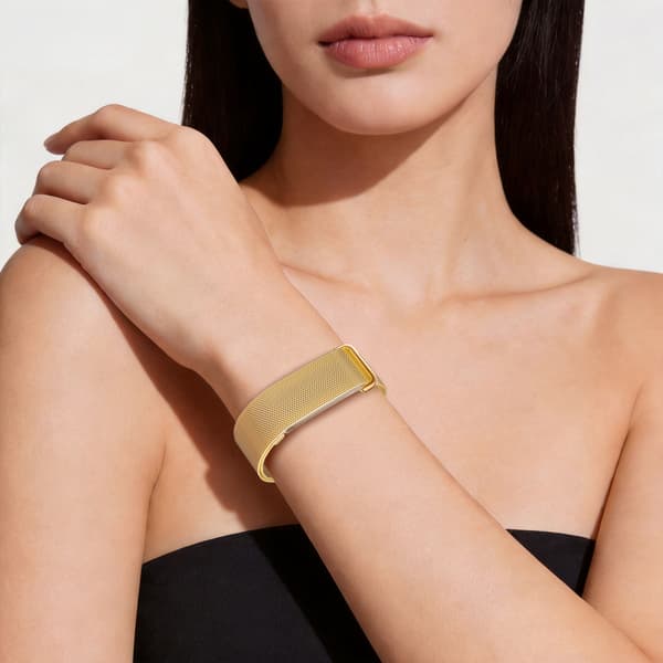Armbånd i rustfrit stål med magnetlås til Google Fitbit Air Gold