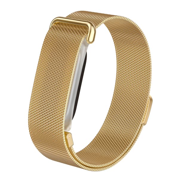 Armbånd i rustfritt stål med magnetisk lås for Google Fitbit Air Gold