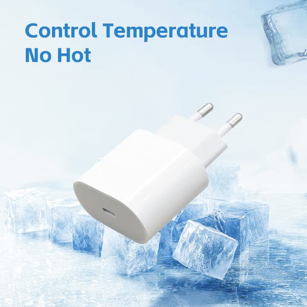 Oplader til iPad Pro 9.7 20W (1m)