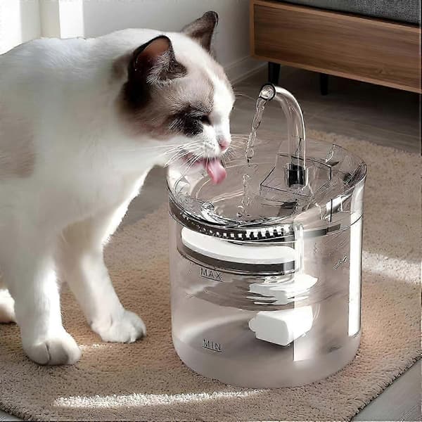 Dricksfontän för husdjur, 2L Smart vattendispenser för katter och hundar, Transparent