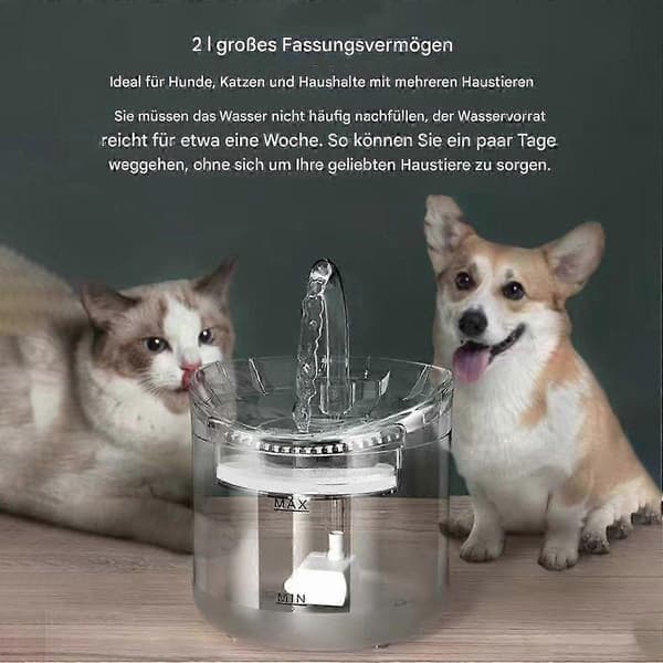 Dricksfontän för husdjur, 2L Smart vattendispenser för katter och hundar, Transparent