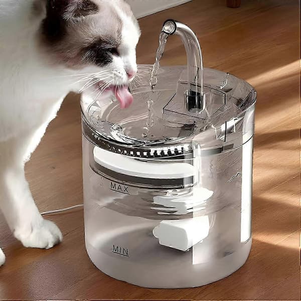 Dricksfontän för husdjur, 2L Smart vattendispenser för katter och hundar, Transparent