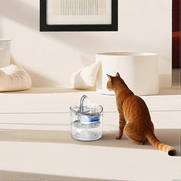 Dricksfontän för husdjur, 2L Smart vattendispenser för katter och hundar, Transparent