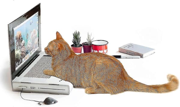 Katteskraper Laptop Interaktive Katteleker Klorebrett i Papp Katteleker Gaver Utstyr