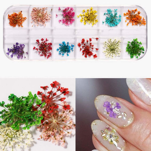 1 låda Nail art Torkade blommor dekorationsset för nageltorkade blommor 3D äkta torkad blomma（stil 1） color 1