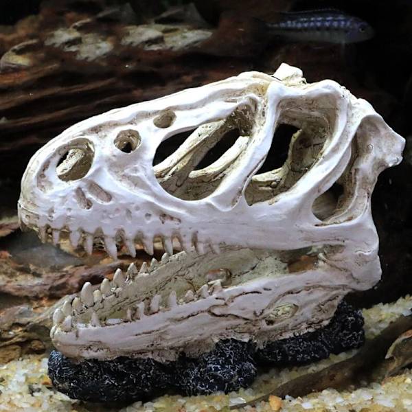 Akvaario akvaario dinosaurus pääkallo koriste hartsi käsityö Halloween rekvisiitta populaaritieteelliset työkalut Saber-toothed Tiger