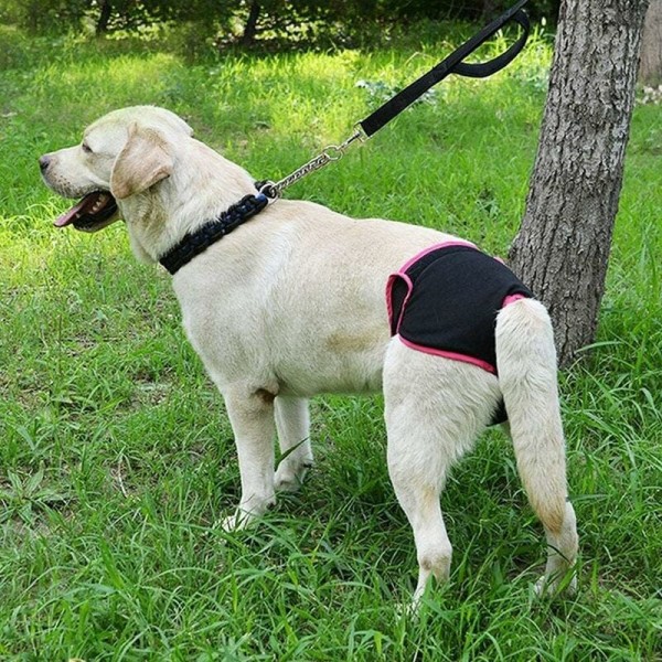 Svart - 1 st hundtrosa, storlek 30-35 cm, mjuka komforthygieniska trosor, Puppy Physic Trosor, Hundblöjor