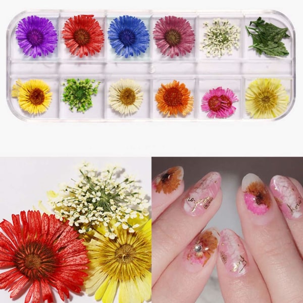 1 låda Nail art Torkade blommor dekorationsset för nageltorkade blommor 3D äkta torkad blomma（stil 1） color 1