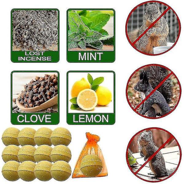 Ekorreavvisande 12-pack, Chipmunk-avvisande utomhus, naturligt ekorravvisande och myntavskräckande medel för fågelmatare/trädgård/vind, säkert runt
