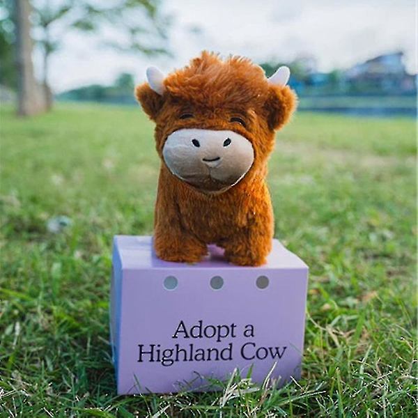 Adoptera en Highland ko plysch söt ko gosedjur fluffig ko figur leksaker~au Highland yakcolor box 25CM