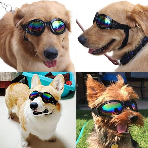 2 stk Stilig Hundebriller Vanntette Vindtette UV-Beskyttelse
