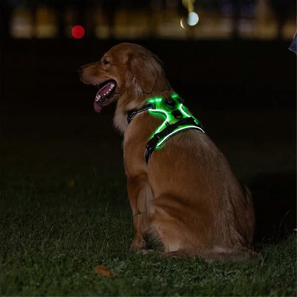 Lysende kæledyrsele Lysende hundesele Justerbar Lysende kæledyrsbrystrem S