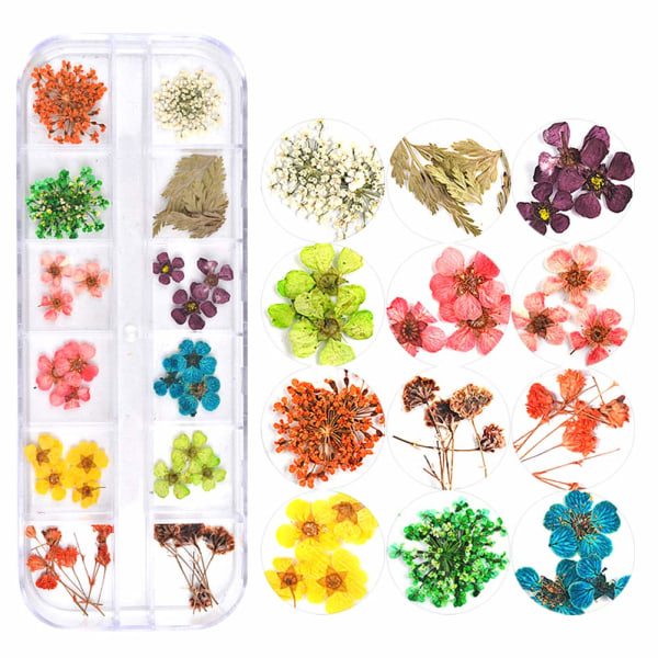 1 kartong Nail Art Stickers Torkade blommor dekorationsset för nageltorkade blommor 3D riktiga torkade blommor（stil 2） color 2