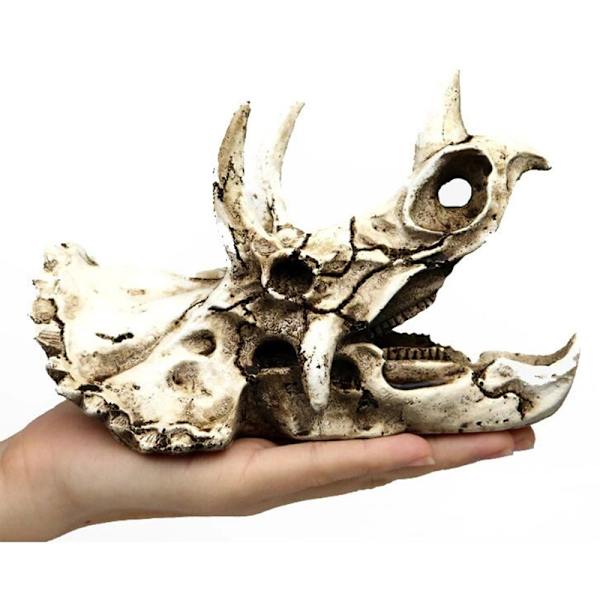 Akvaario akvaario dinosaurus pääkallo koriste hartsi käsityö Halloween rekvisiitta populaaritieteelliset työkalut Triceratops