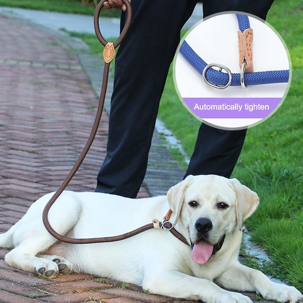 Hundkoppel, Slip Rope Hundträningskoppel, flätad träningsledning för husdjur