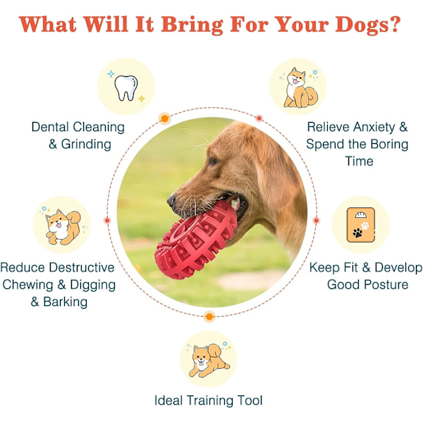 Dog Chew Toy Food Grade Gummi Molar Toy Giftfritt Pet Food Di