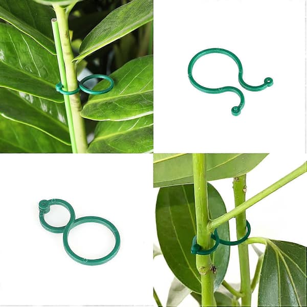 Plastplanteklips, 100 STK Plantringer Hageblomstklips for støtteplanter