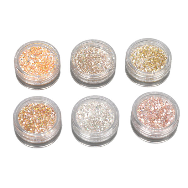 6 Färger Holografiskt Nagelglitter Kit Glittrande Konstdekoration för Hemmasalong Manikyr