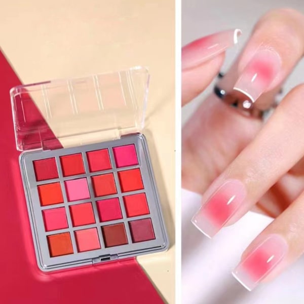 16 Färger Nagelpulver Pigment för Konstdekorationer