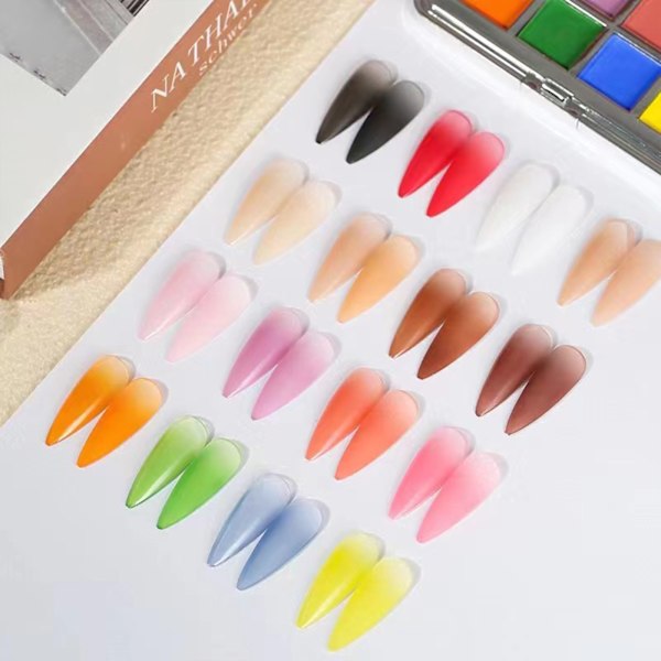 16 Färger Nagelpulver Pigment för Konstdekorationer