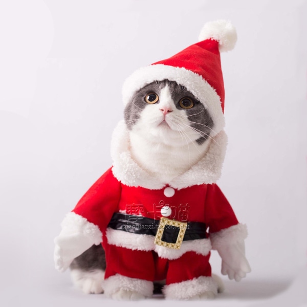 Katt juloutfit ,jul husdjurskläder Söt jultomte Hund Katt Julkostymer Katt Klä upp jul med Sant Size S