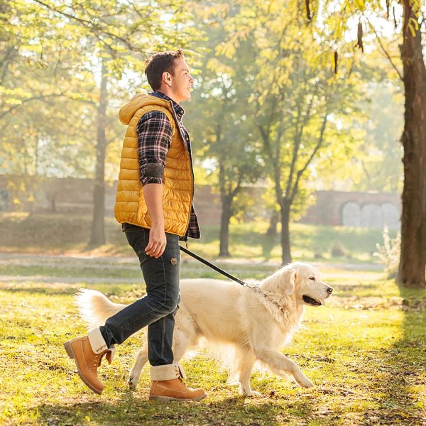 Träningslina för hundar, förlängbar hundlina för små medelstora hundar, lång lina för träning av promenader och löpning 2*15cm