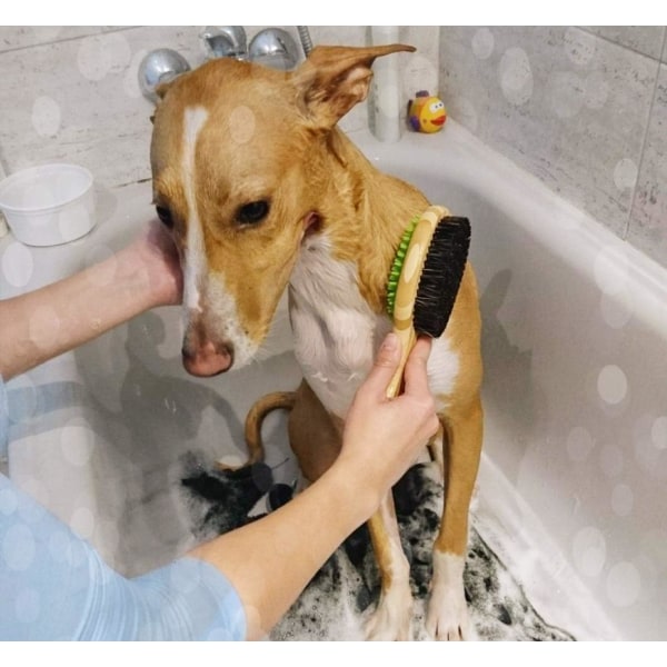 Dubbelsidig massagebadborste för husdjur - 2 i 1 silikonnål och bambukam med naturligt borst - tar bort lös päls och smuts