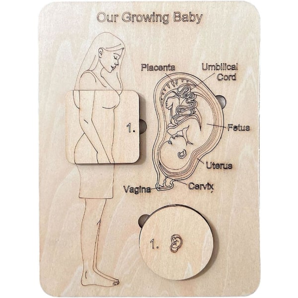 1 st träpinnepussel för småbarn, fastade pussel för småbarn, unik form av gravid kvinna förklarar var bebisar kommer
