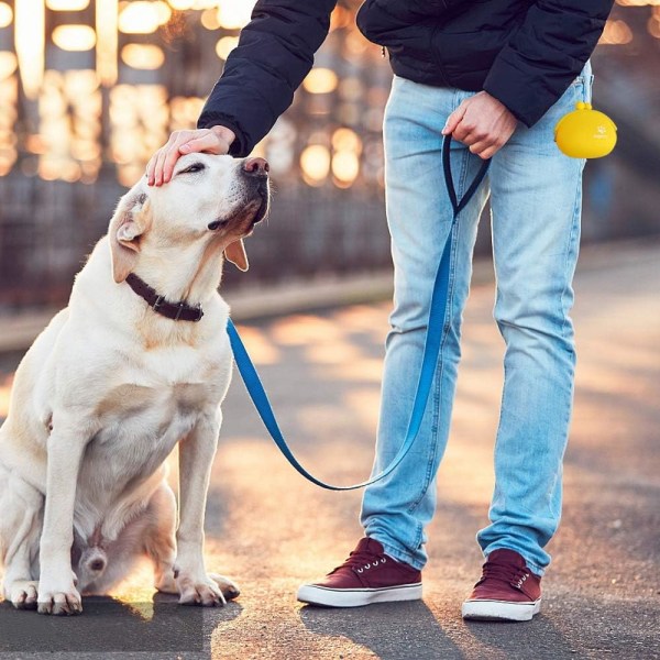 Godisväska för hund och katt, silikonväska för hundträning, bärbar godisväska för hund yellow