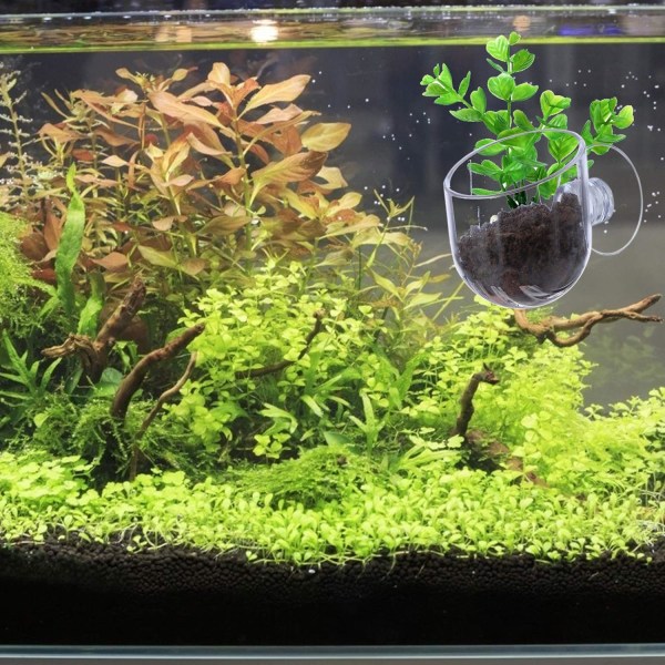 Mini vattenplanteringskruka Liten växt Akrylkoppkruka för akvariedekor, 4st