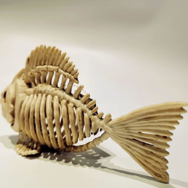 Halloween Fisk Skelett Modell Plast Simulering Fiskben Ornament Festdekoration