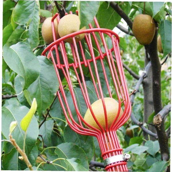Fruktplockarverktyg Plockning Skördarkorg Fruktträdgård Lättviktsfri metalltråd för äpple Päron Persika Husgeråd