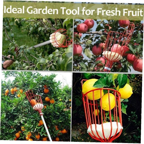 Fruktplockarverktyg Plockning Skördarkorg Fruktträdgård Lättviktsfri metalltråd för äpple Päron Persika Husgeråd