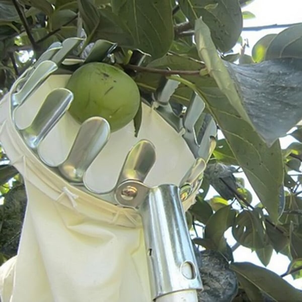 Äppel- och fruktnötplockare Fruktplockningskorg Trädgårdsterrass Handverktyg