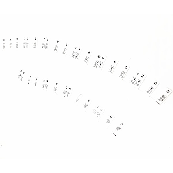 Avtagbara piano och keyboard etiketter 61 tangenter Vit Hvid